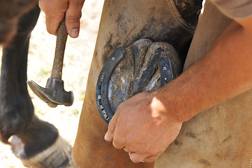 Image showing farrier