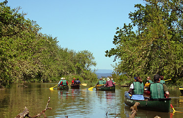 Image showing Canoers on the Water