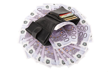 Image showing Image of purse with euros