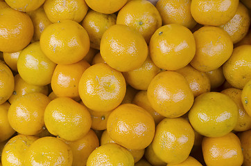 Image showing Ponkan Oranges