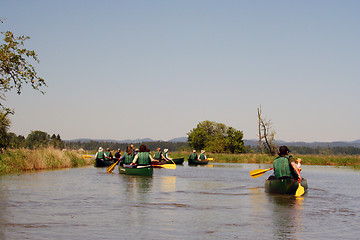 Image showing Group of Canoers