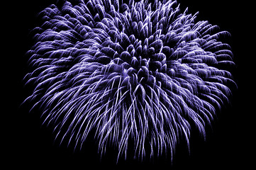 Image showing Firework