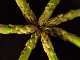 Image showing Asparagus Heads