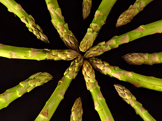 Image showing Asparagus Converging