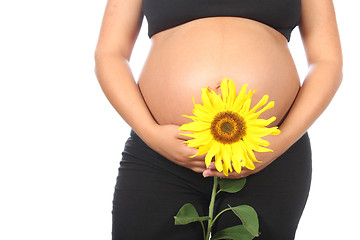 Image showing pregnant woman with beautiful belly and sunflower