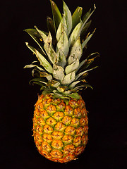 Image showing Pineapple on Black