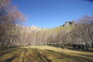 Image showing Sunlight in a green and beautiful forest