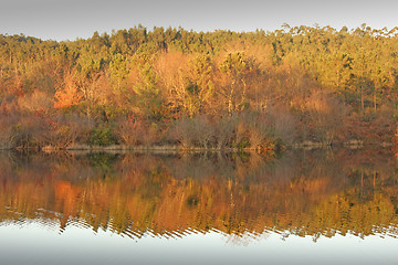 Image showing beautiful autumn landscape with river and reflex, Portugal