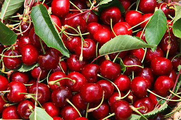 Image showing beautiful and tasty cherries