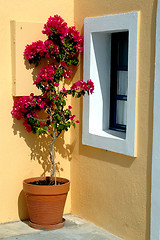 Image showing greece island flower pot