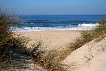 Image showing white sand on the beach with dunes in summertime