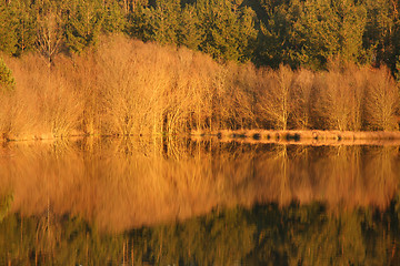 Image showing beautiful autumn landscape with river and reflex, Portugal