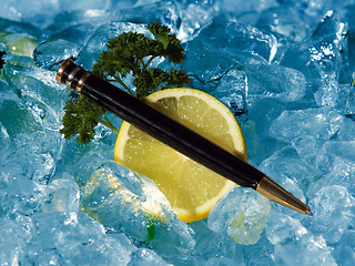 Image showing Executive pen on ice