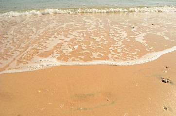 Image showing sea shore