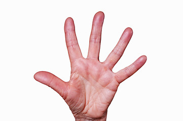 Image showing hand shows stop