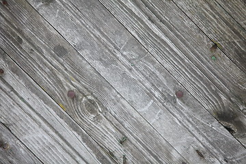 Image showing  old gray timber