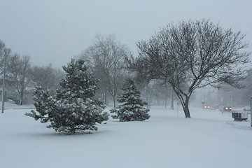 Image showing Picture taken during a winter storm that passed by the city - park and trees covered with snow 