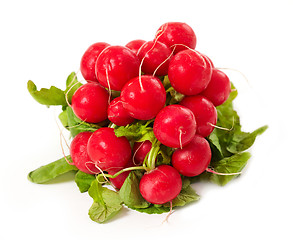 Image showing radish