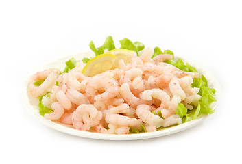 Image showing fresh raw prawn