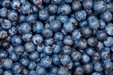 Image showing Blueberries