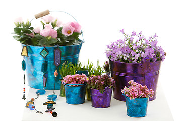 Image showing pink flowers buckets