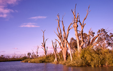 Image showing sunrise on the murray river