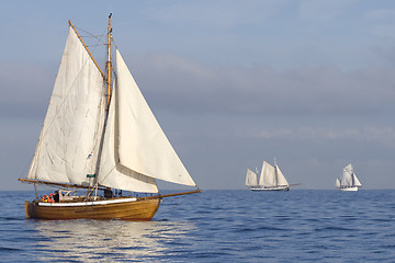 Image showing Tender with white sails