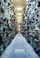 Image showing cemetery