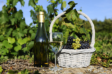 Image showing harvest and wine