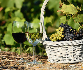 Image showing harvest and wine