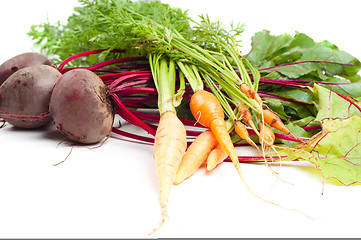 Image showing Beet and carrot