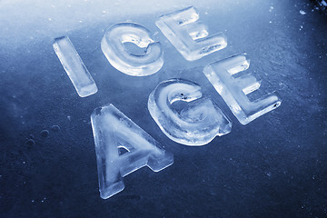 Image showing Ice Age