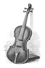 Image showing Violin