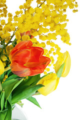 Image showing Spring bouquet from tulips and branches of a mimosa, it is isola