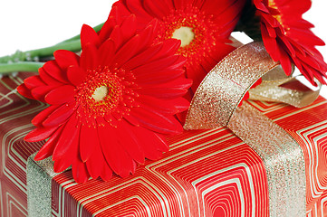 Image showing Red gerbera on a box with a gift, a close up