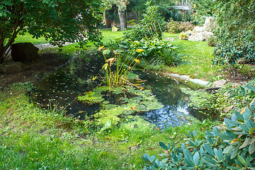 Image showing Summer Garden with a Pond