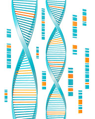 Image showing dna