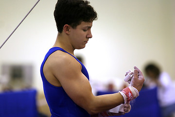 Image showing Gymnast