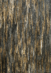 Image showing Old cracked wood