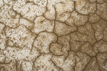 Image showing Cracked earth