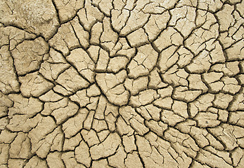 Image showing Cracked earth