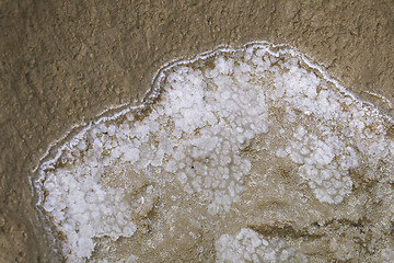 Image showing Bottom of salty lake Baskunchak