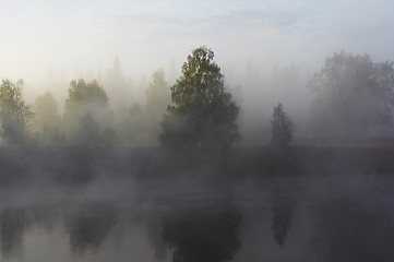 Image showing Morning mist