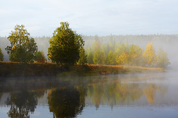 Image showing Morning mist