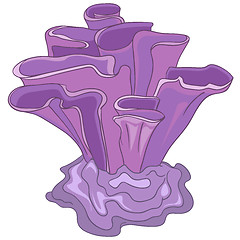 Image showing Cartoon Alga