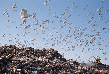 Image showing City dump