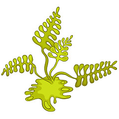 Image showing Cartoon Alga