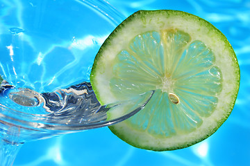 Image showing Summer Citrus Cocktail