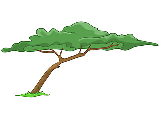 Image showing Cartoon Tree