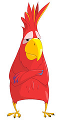 Image showing Cartoon Character Parrot